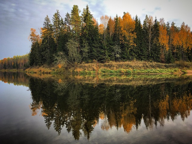 gauja-in-latvia