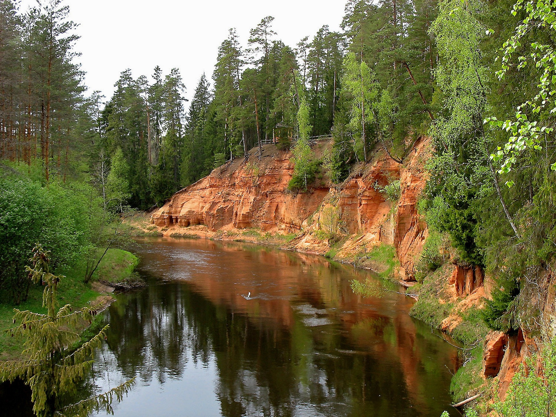 latvian-forest-with-river
